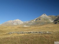 2026-09-20 Monte Bolza 029